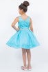 Big Girls Multi Color Glitter Mesh V Neck Short Dress 4-16